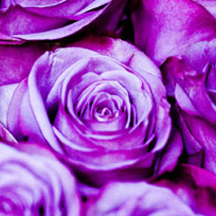 ddos攻击器安卓ios下载